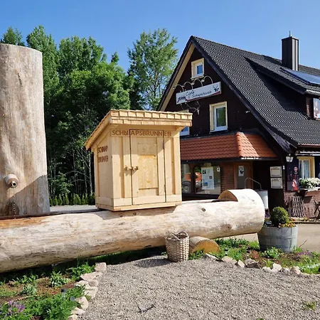 Am Adlerweiher Feldberg (Baden-Wurttemberg)
