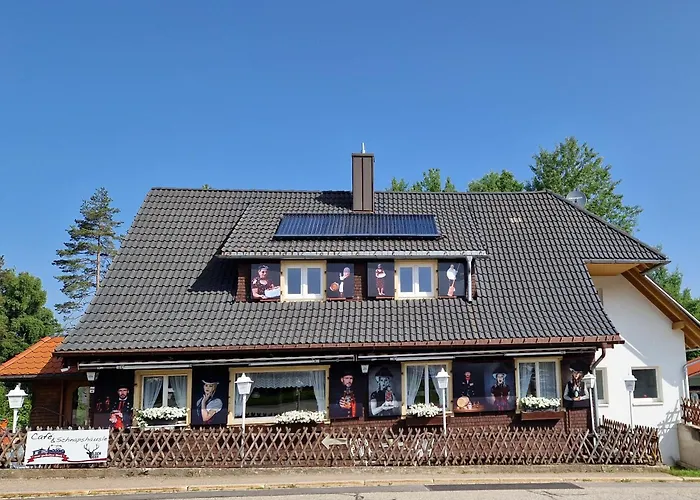 Am Adlerweiher Feldberg (Baden-Wurttemberg)