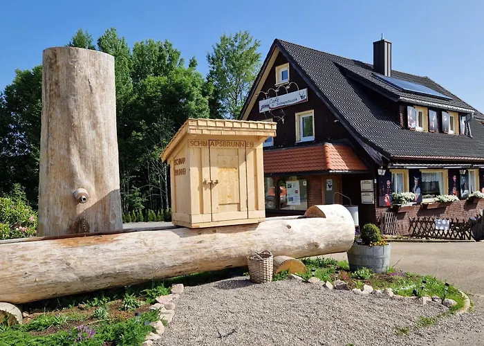 Am Adlerweiher Feldberg (Baden-Wurttemberg)